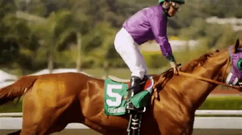 racehorse gif|tight race gif.